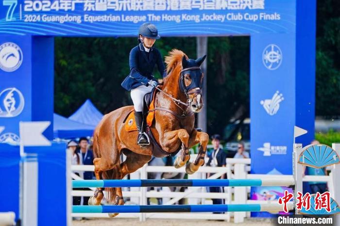 广东省马术联赛总决赛开赛 550对人马组合角逐盛